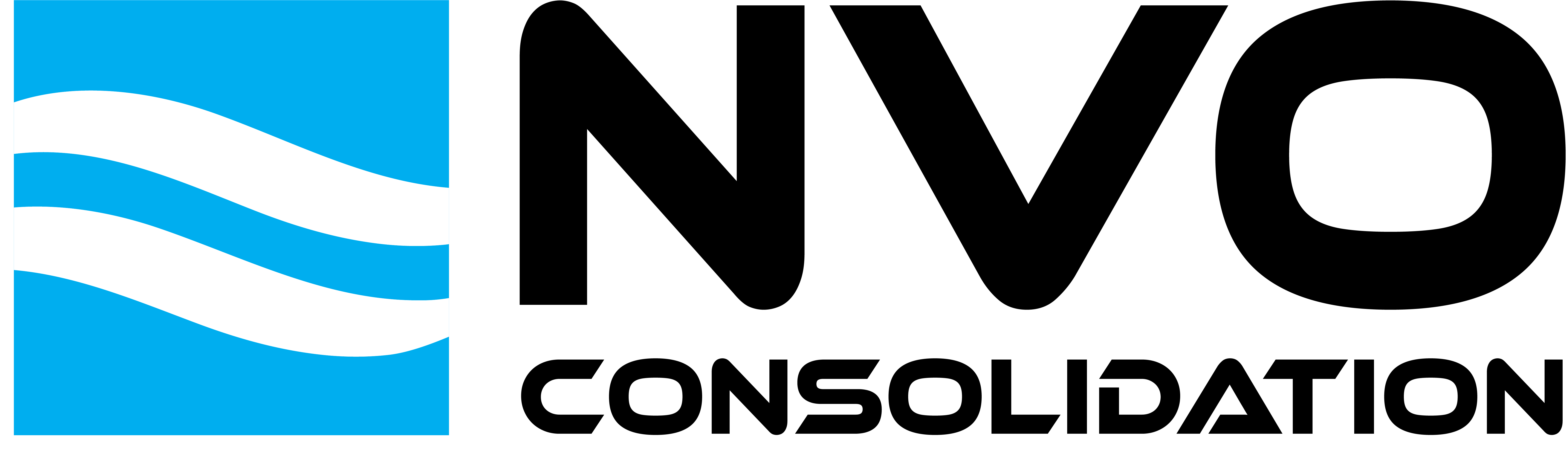 NVO Consolidation Lines Container Tracking Tool