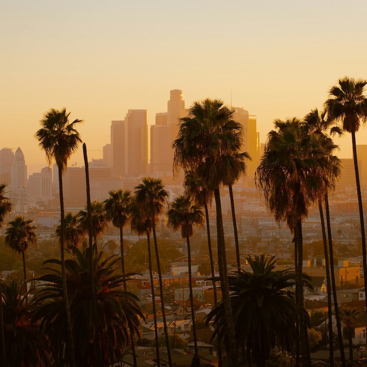 How to meet creatives in Los Angeles