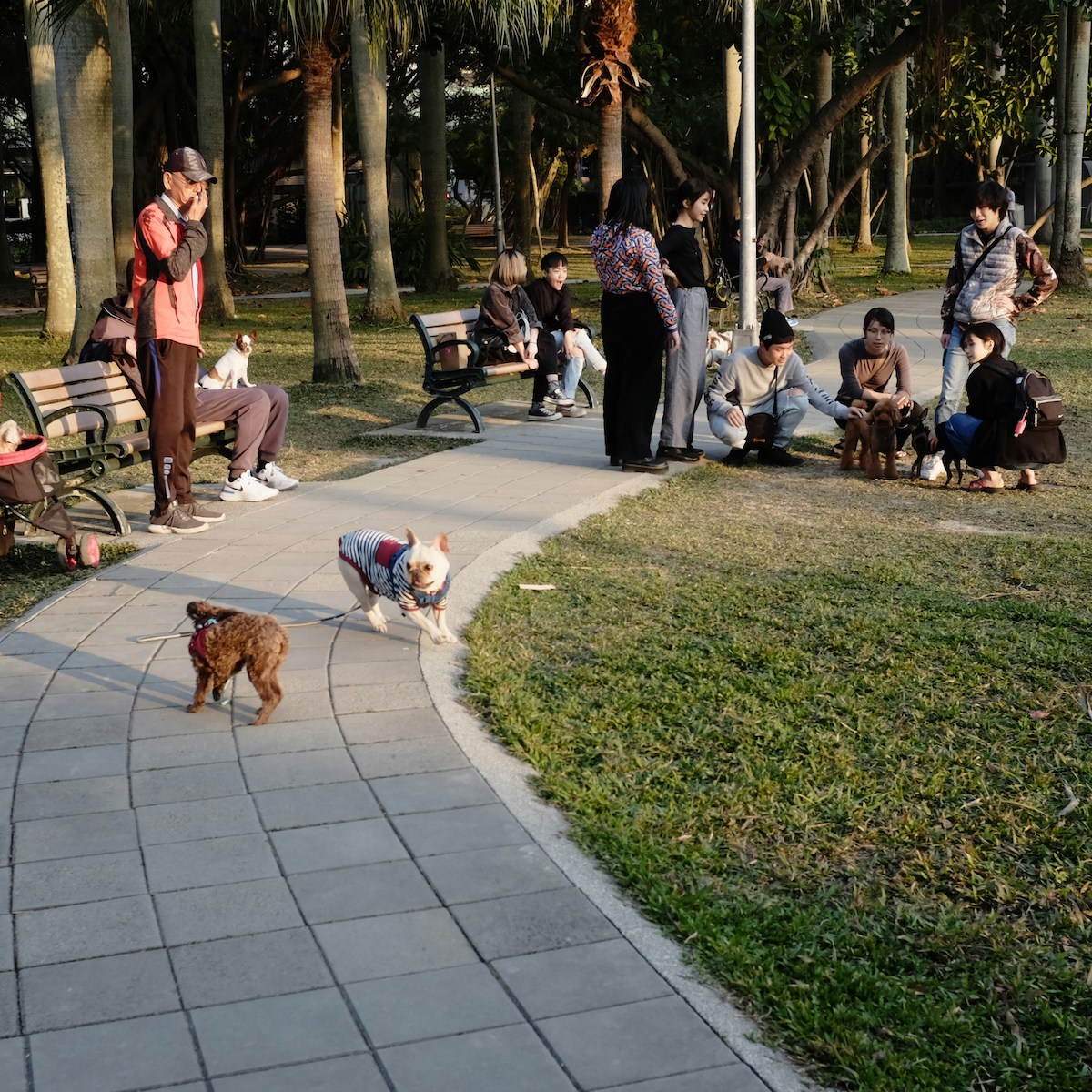 El Retiro Park in Madrid