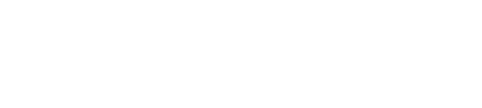 Narratize Logo White