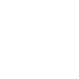Expert tacit knowledge