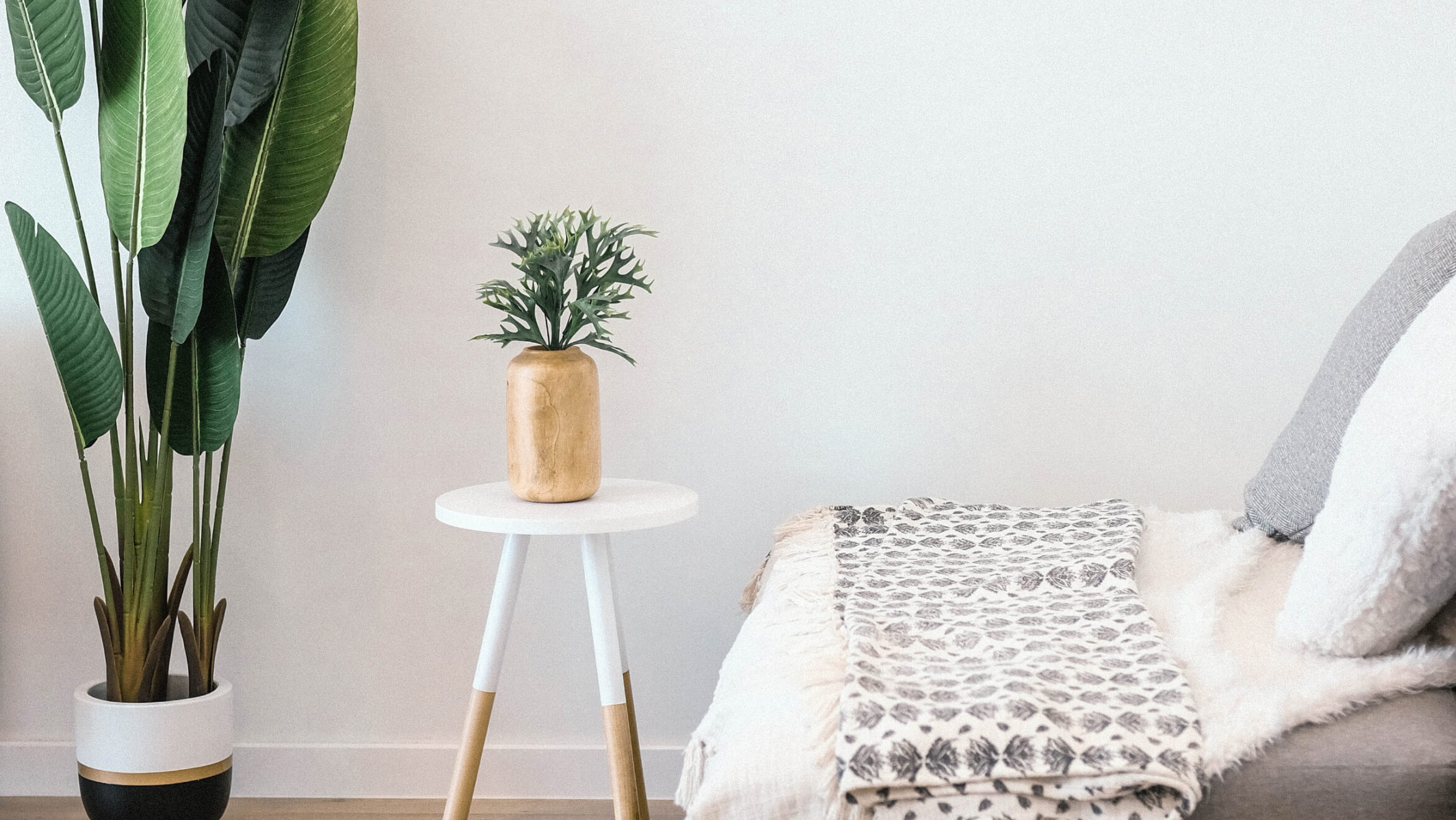 How to choose the best indoor plants for your home
