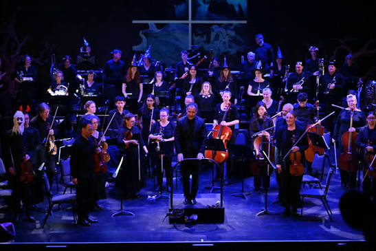 Mozart Concerto n.23 in Hawke's Bay