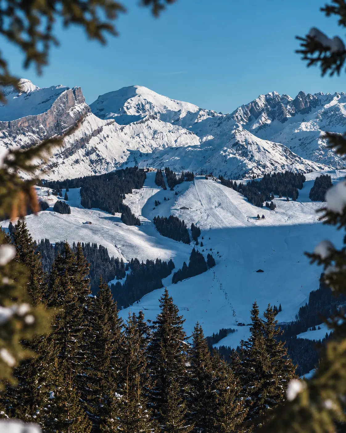 Alpine tartan pattern from La Fantaisie's Paris–Megève festive season