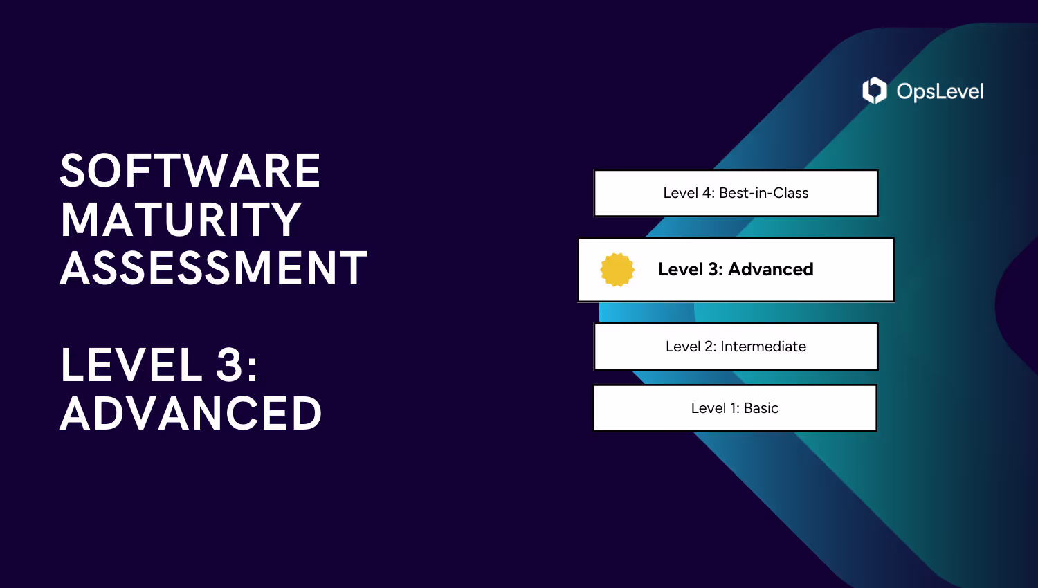 Software Maturity Assessment: Level 3
