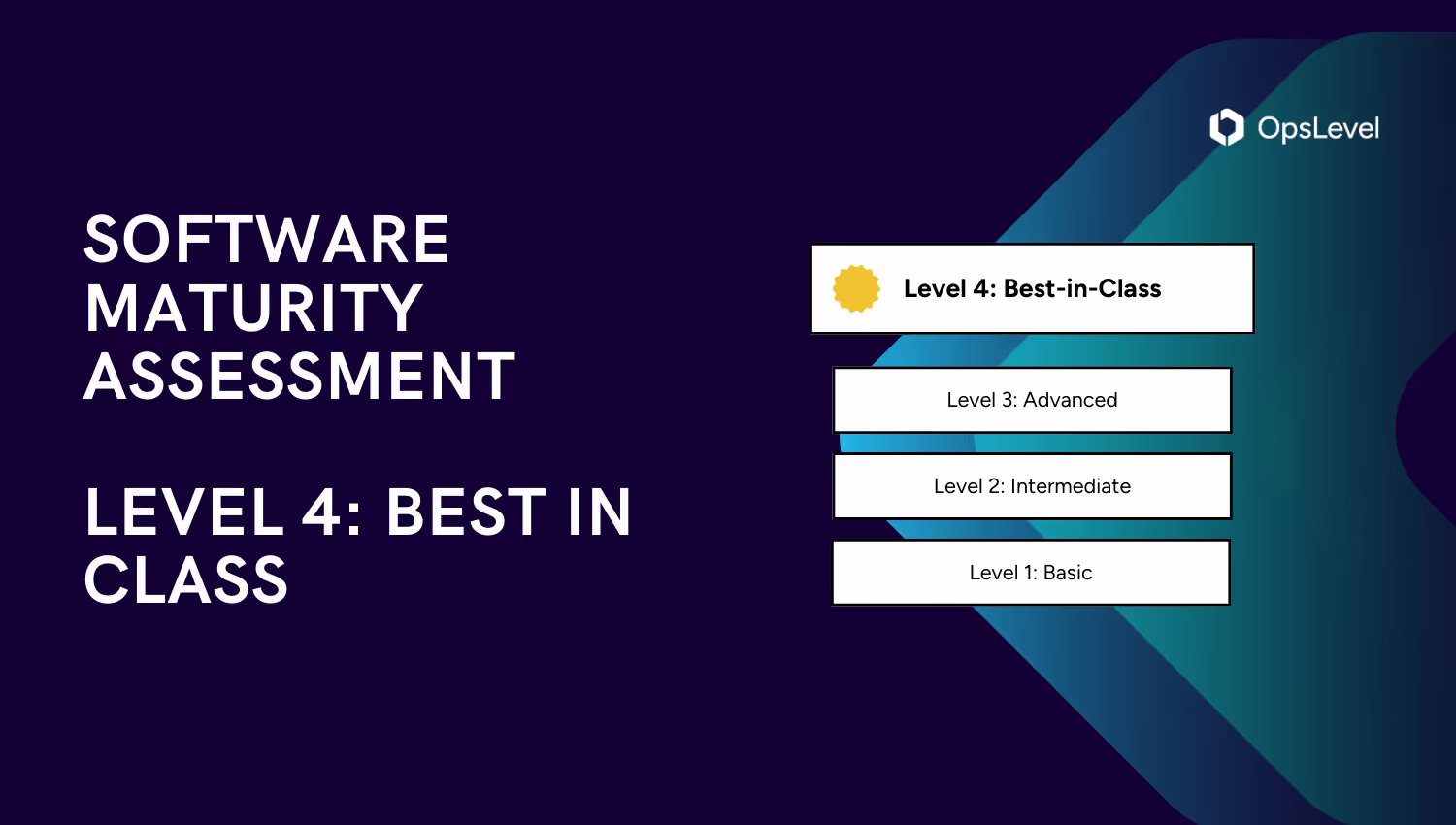 Software Maturity Assessment: Level 4