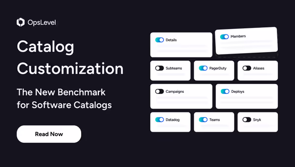 Catalog Customization: The New Benchmark for Software Catalogs