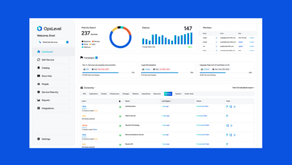 2025 ultimate guide to building a high‑performance developer portal