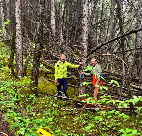 BVCAS Trail Cam in partnership with Alberta Parks