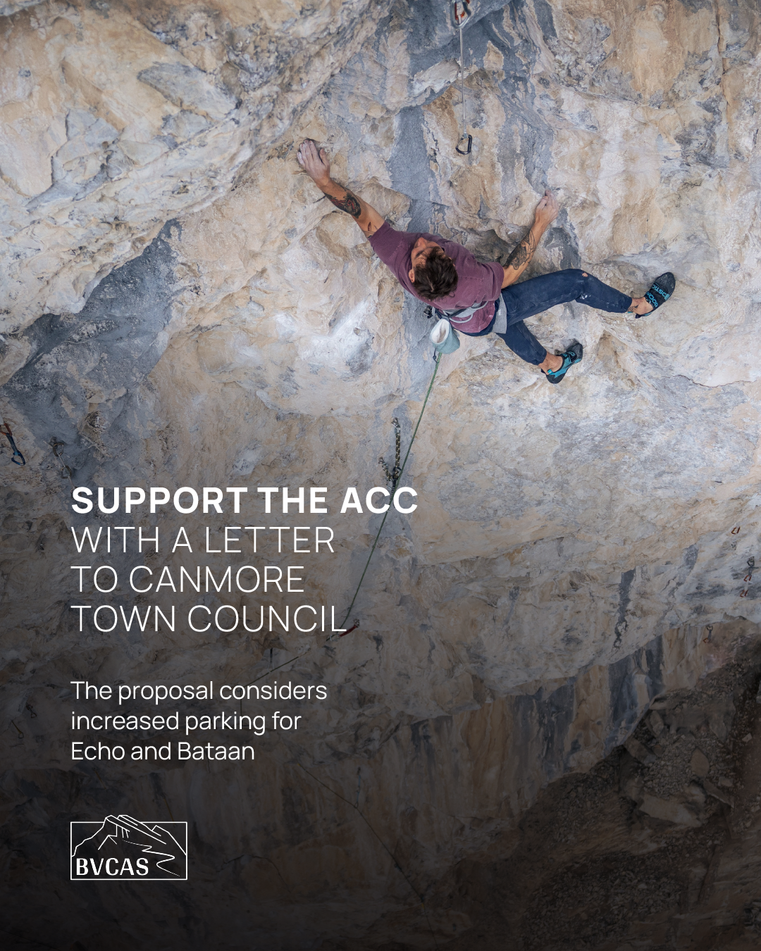 Support the ACC expansion
