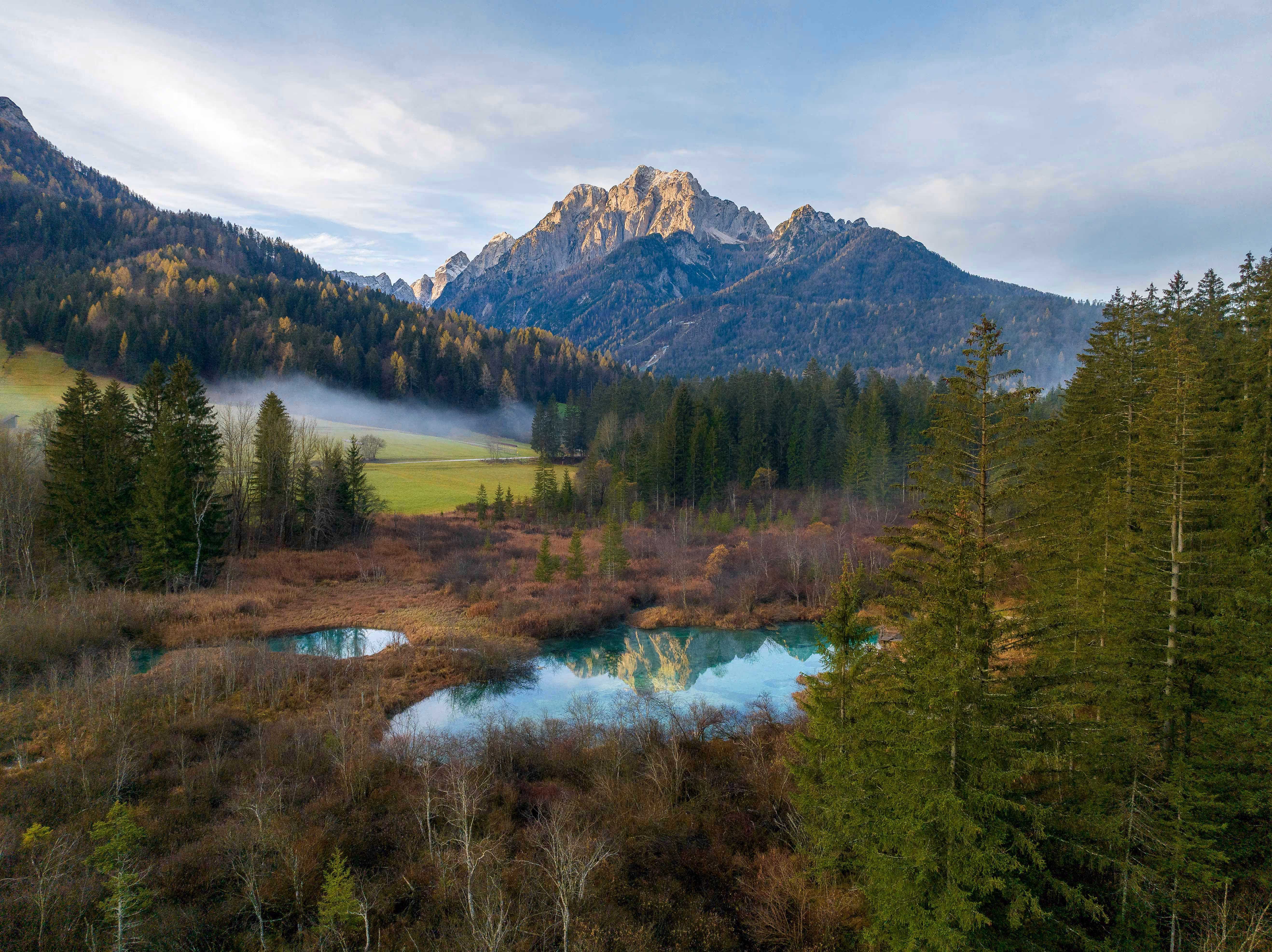 Zelenci natural reserve and the Julian Alps in the background