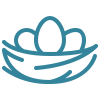 Blue line icon of three eggs in a bird's nest.