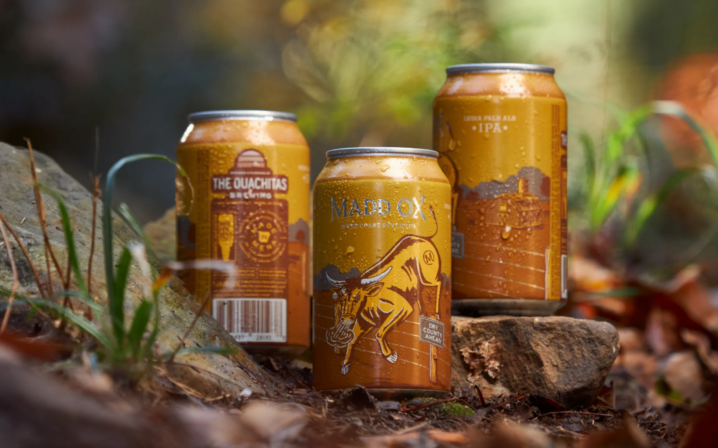 The Ouachitas Brewing Madd Ox West Coast Style IPA cans with charging bull illustration resting on rocks in a forest, packaging design by Unbound Collective