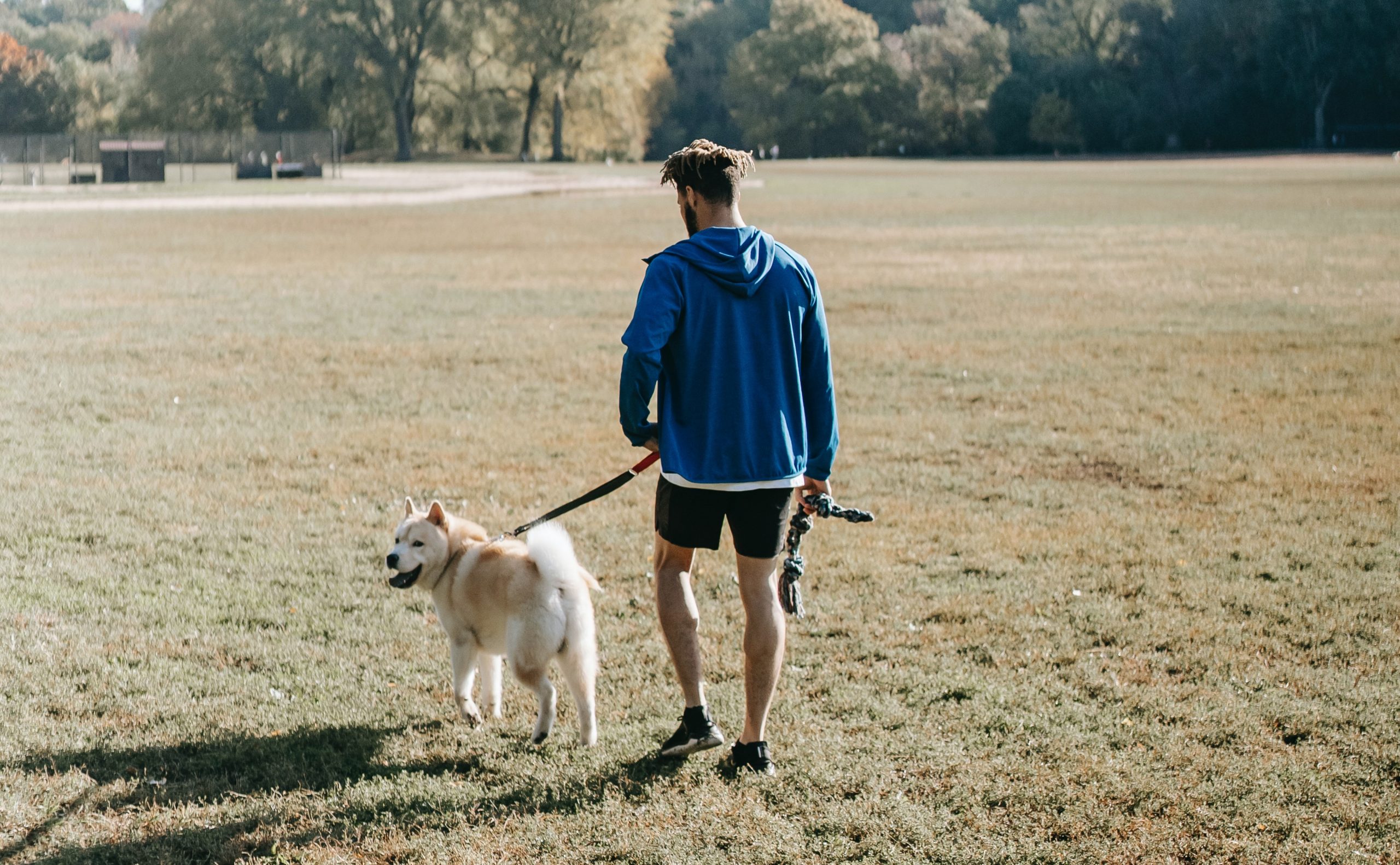 Paseo y cuidado de mascotas