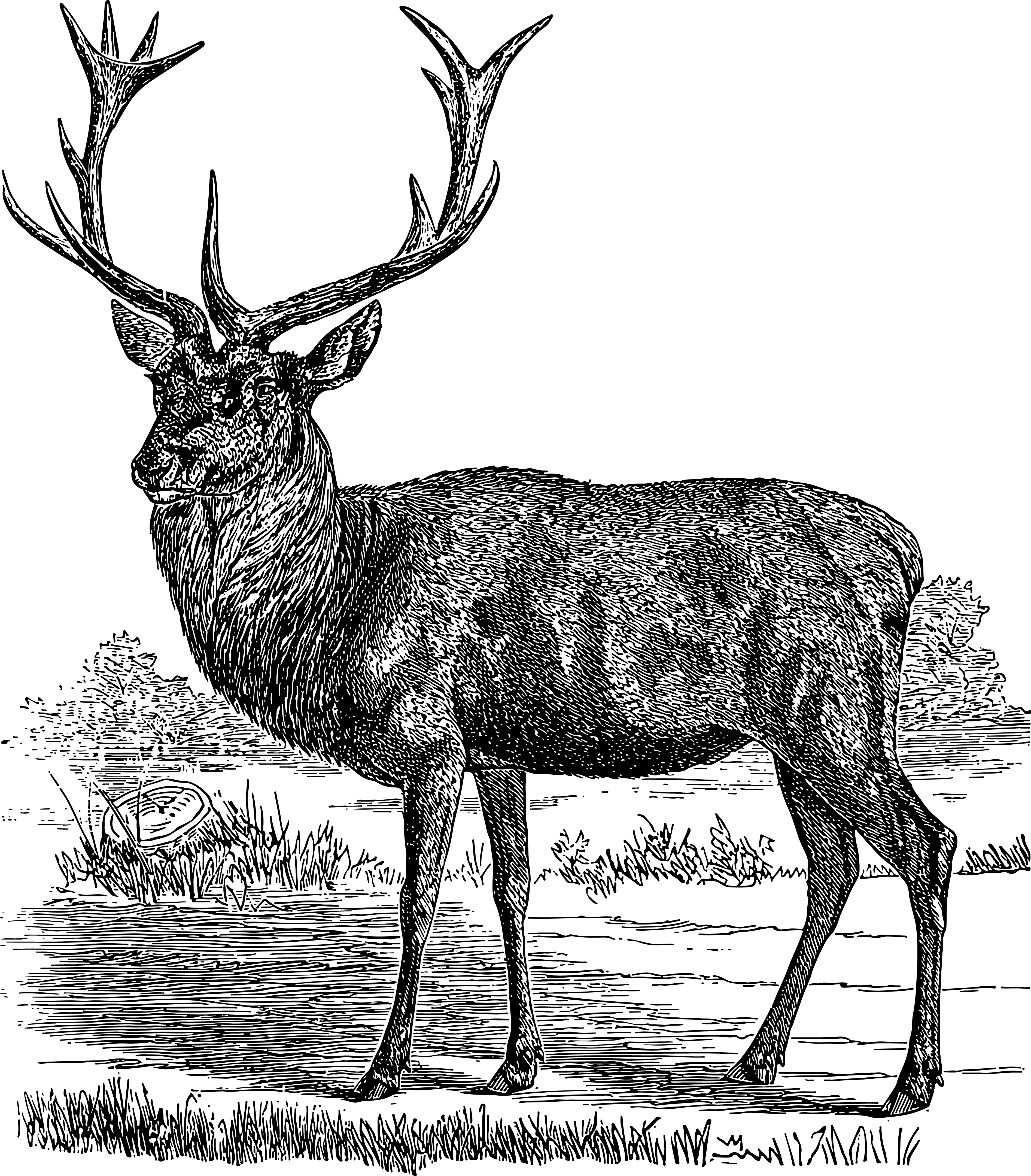 Circle Decoration in Shop Products Block