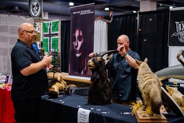 Collectors bidding in a live taxidermy auction event