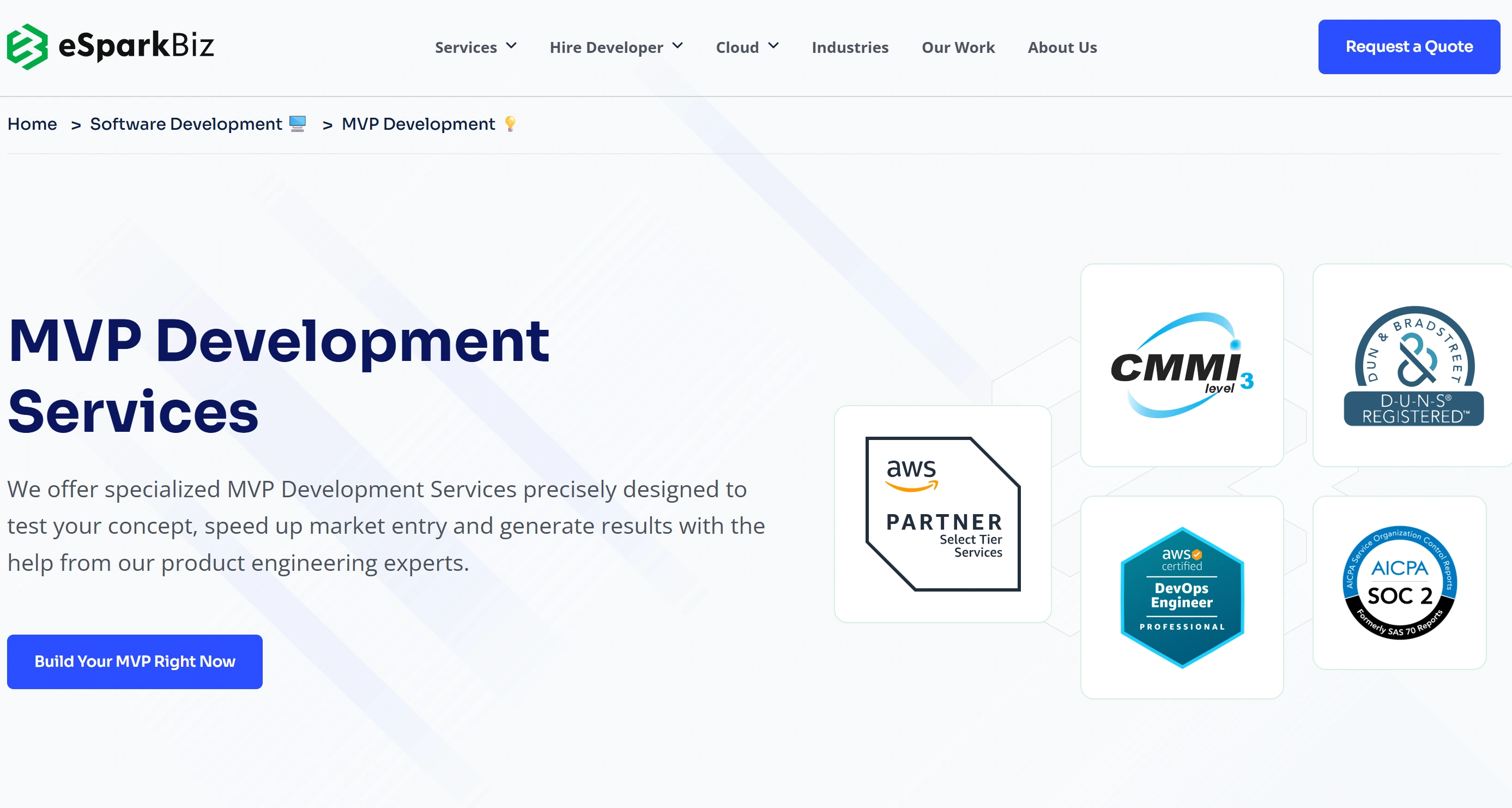 eSparkBiz homepage displaying startup-friendly MVP-first offshore software development services