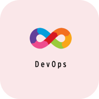DevOps Developer