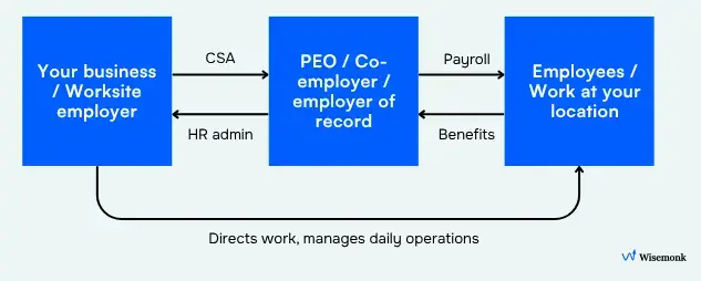 Alt text: Diagram showing how a PEO acts as co-employer, handling payroll and benefits for employees while the worksite employer directs daily work.