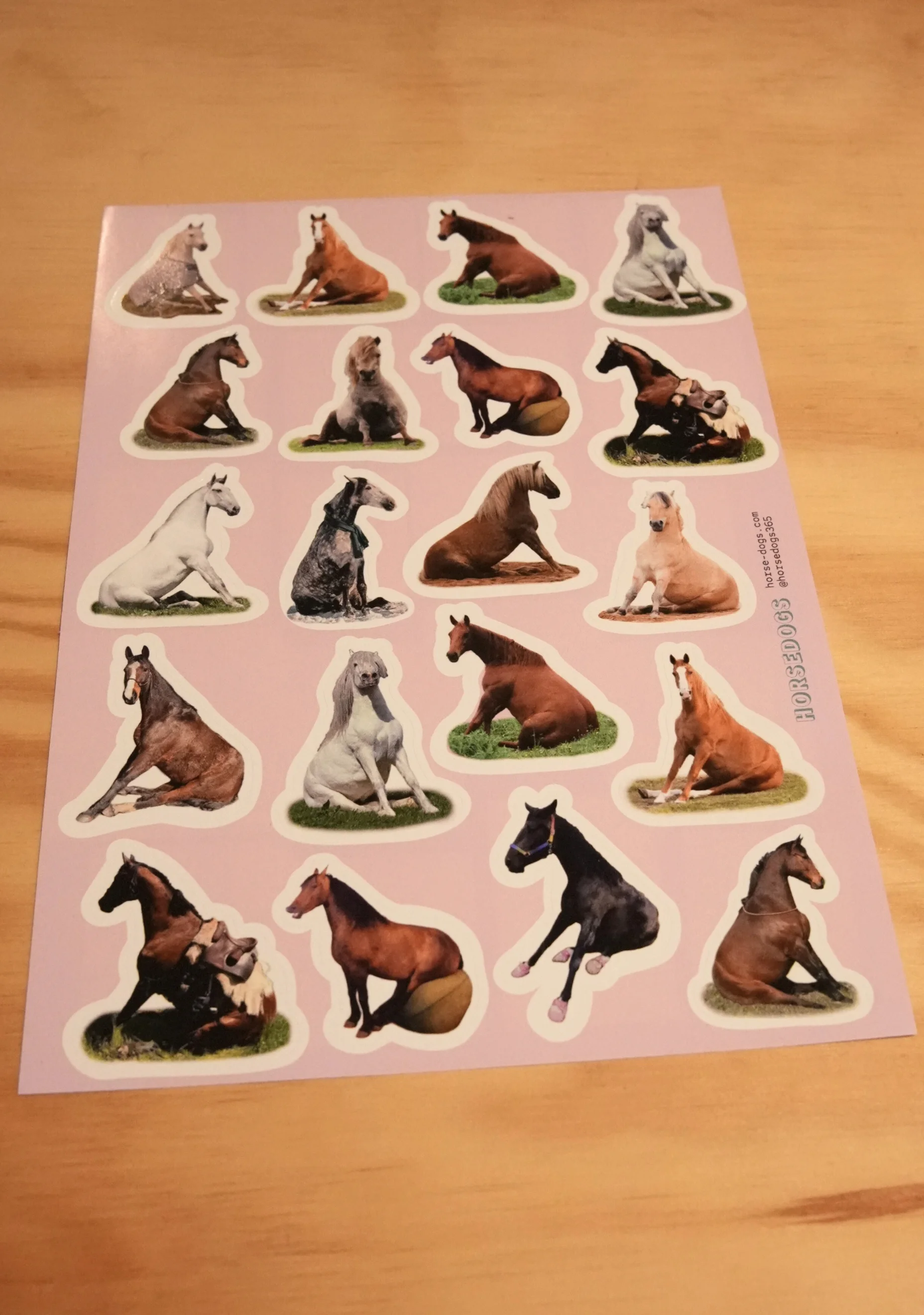 Horsedogs Sticker