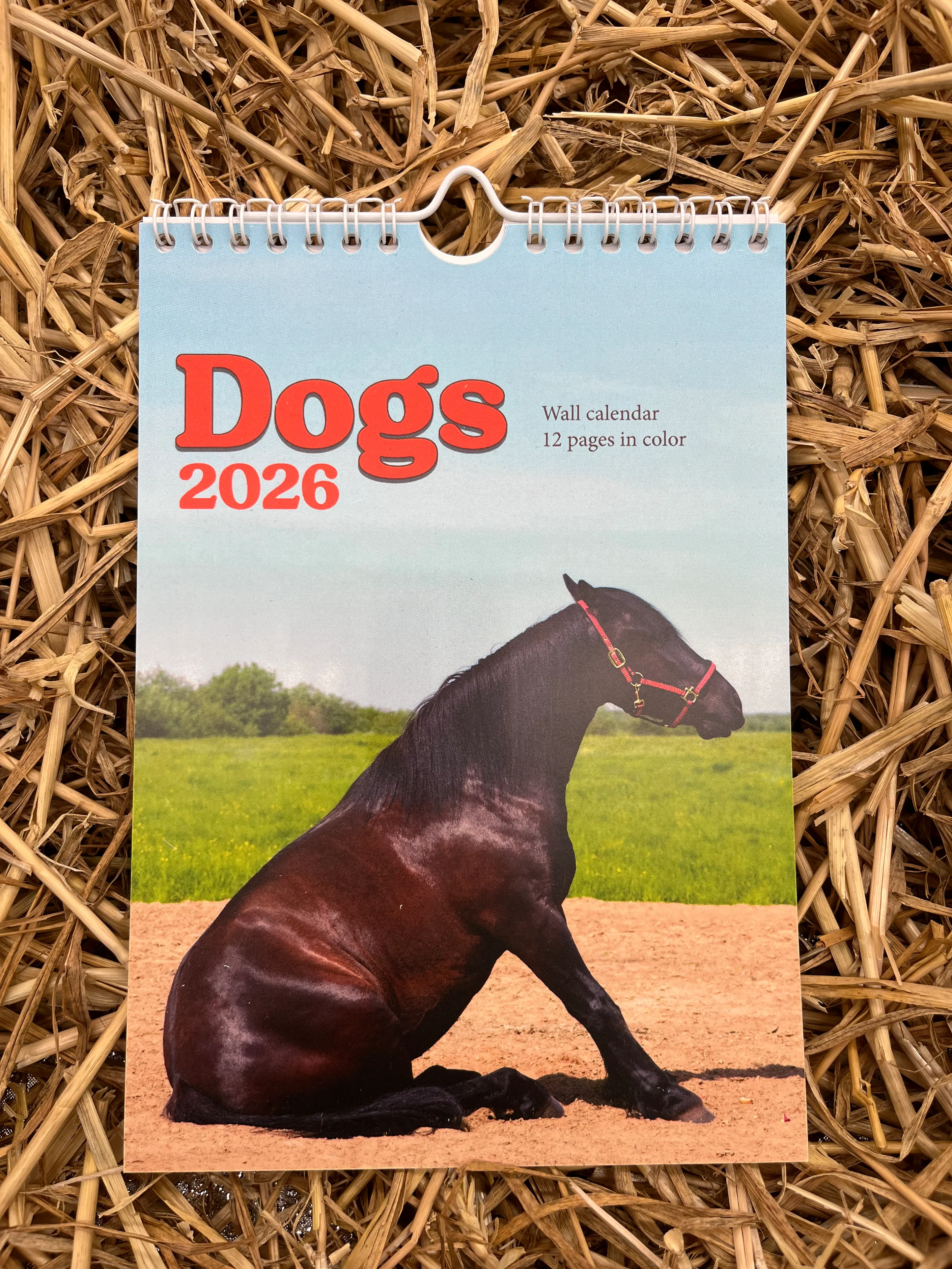 Horsedogs Kalender 2026