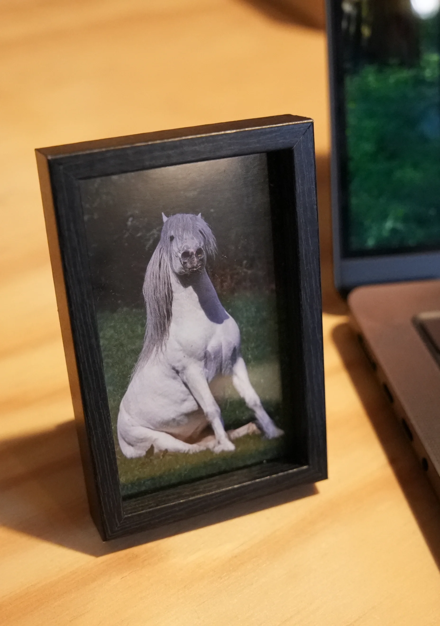 Horsedogs Nachttischbild