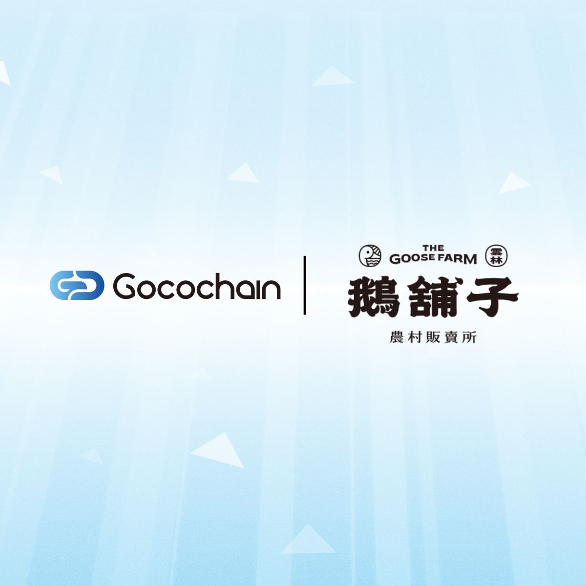 【成功案例】鵝舖子：上線不到半年就有感！十大神農鵝肉品牌用即時溫度監測杜絕百萬凍庫損失