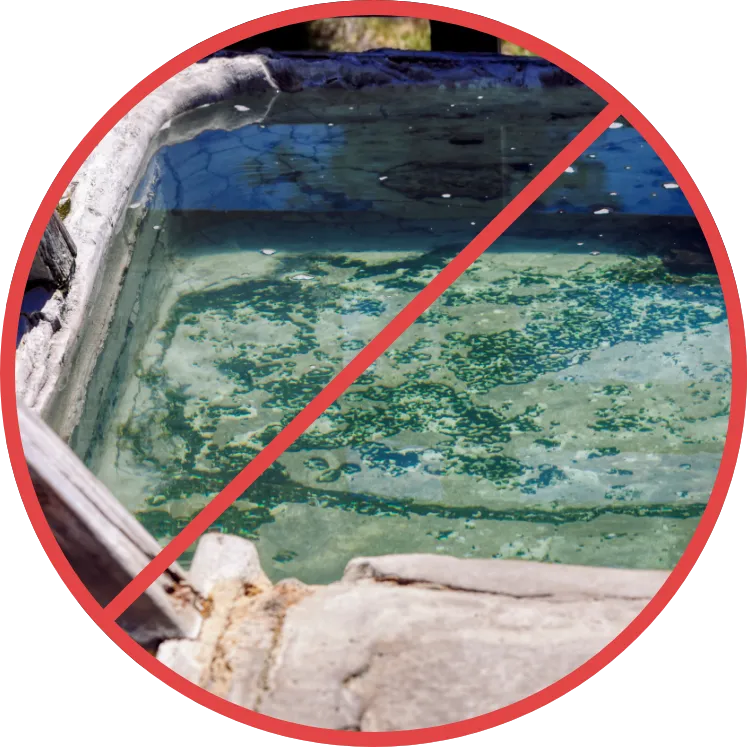 dirty hot tub full of mold 