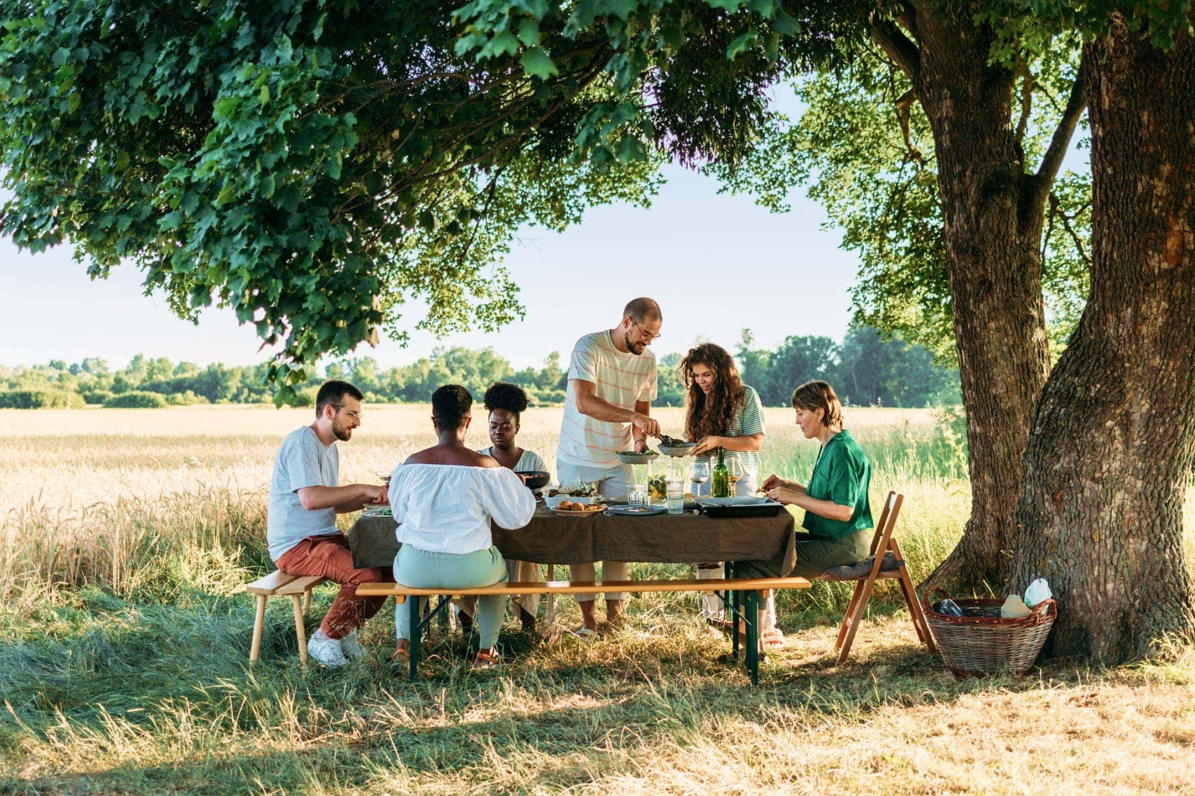group of people at a picnic table under a tree