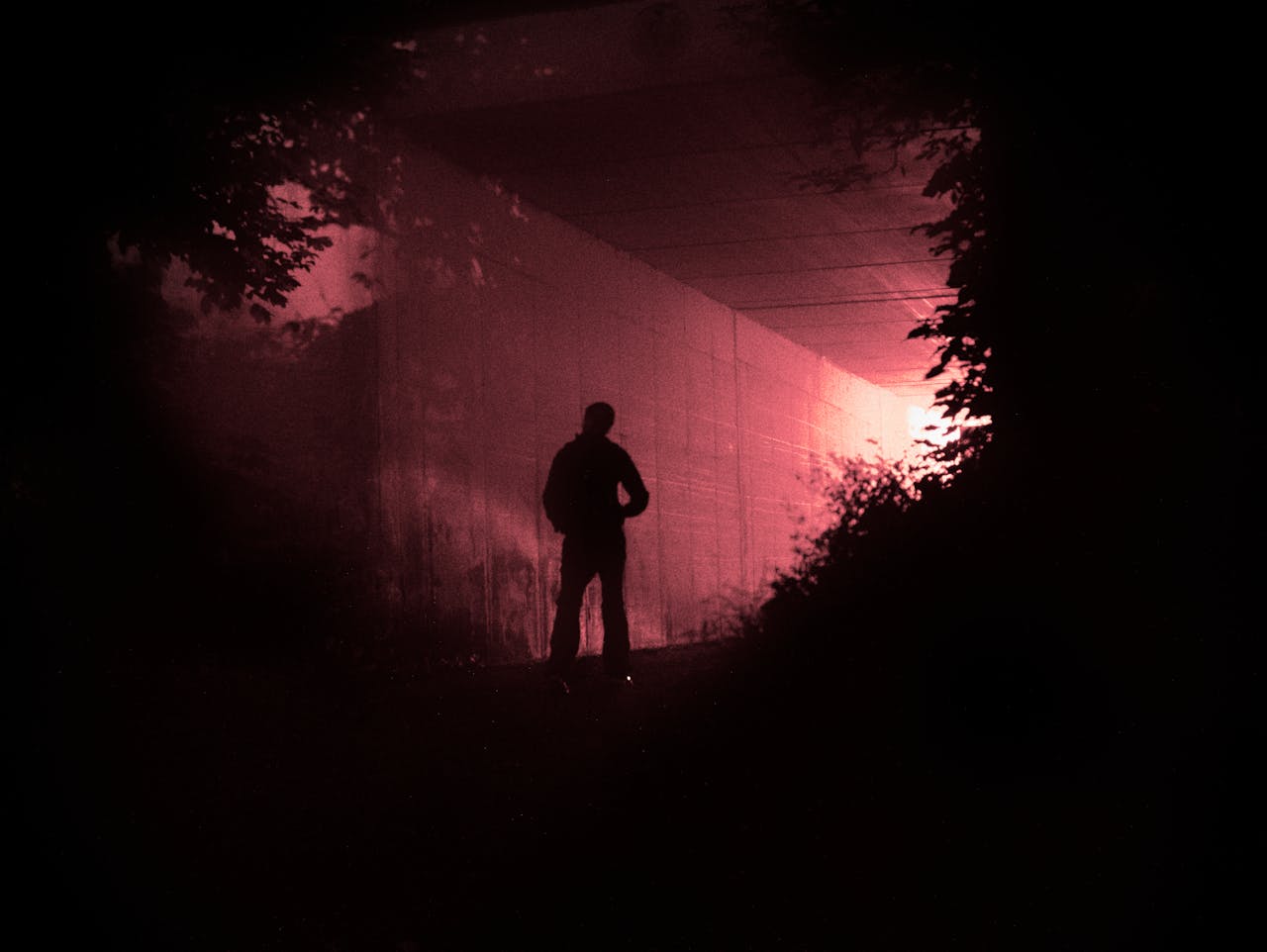 Person silhouetted against red light in a forest.