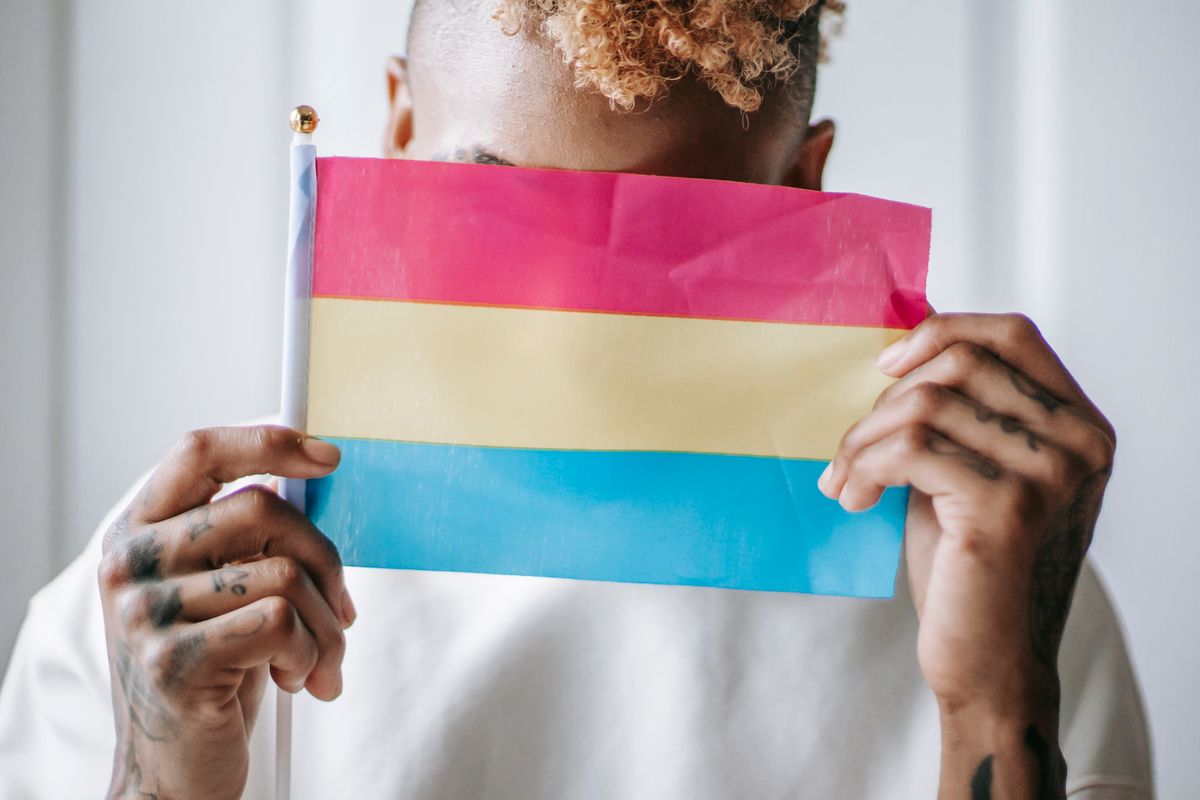 Pansexual Pride Flag, characterized by horizontal stripes of magenta, yellow, and cyan.