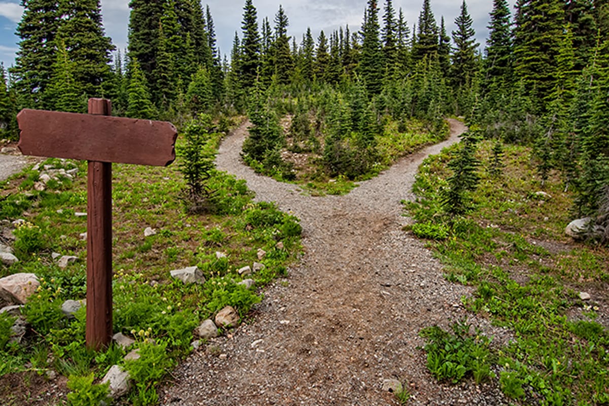 Is There a Right Path" in Life?"