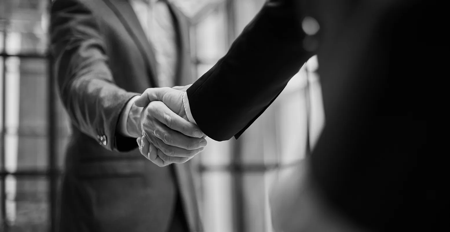 Two business people shaking hands