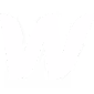 webflow icon