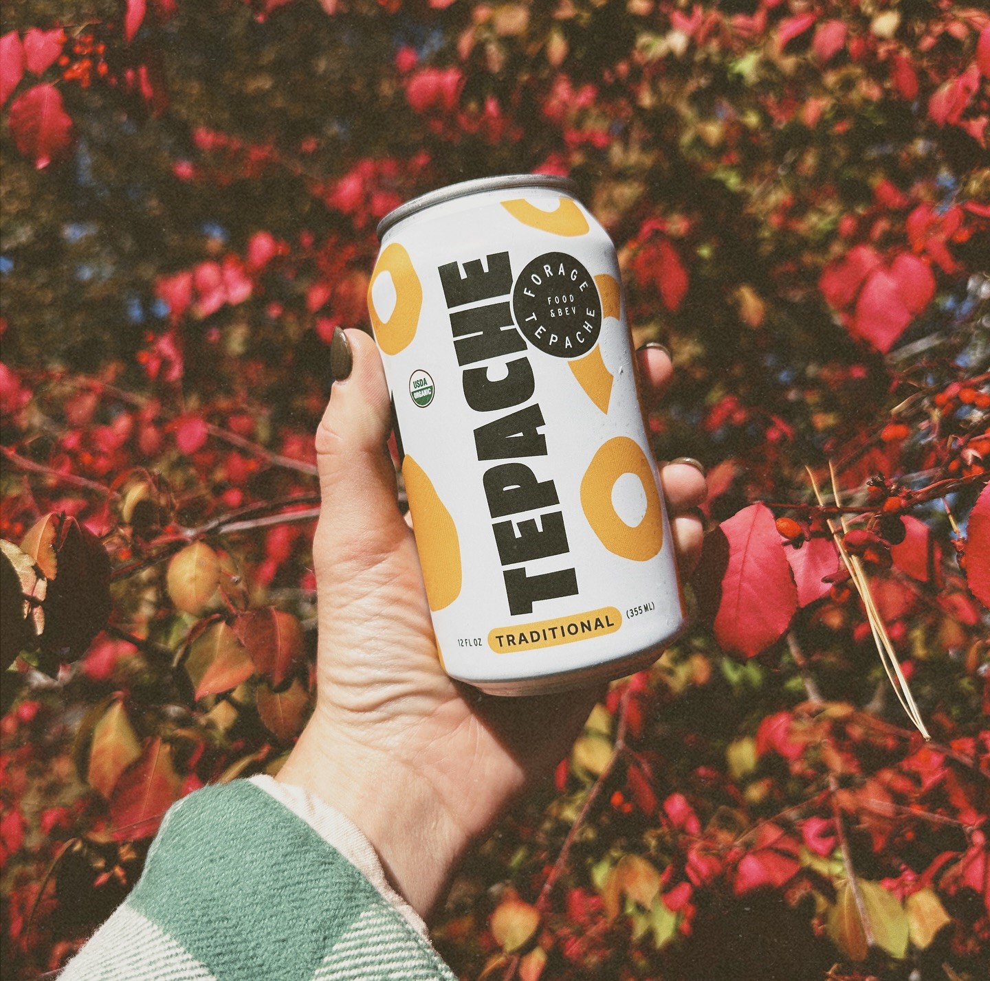 A hand holding Forage Kitchen Tepache can with flowers background 