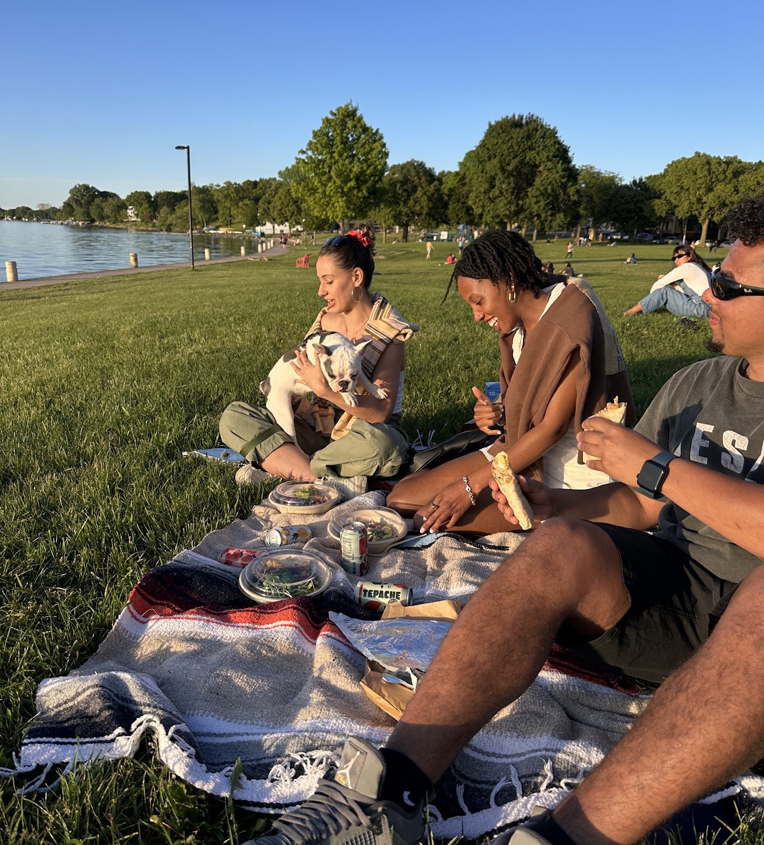 Group of friends sitting in a park, eating grain bowls and wraps from Forage Kitchen.