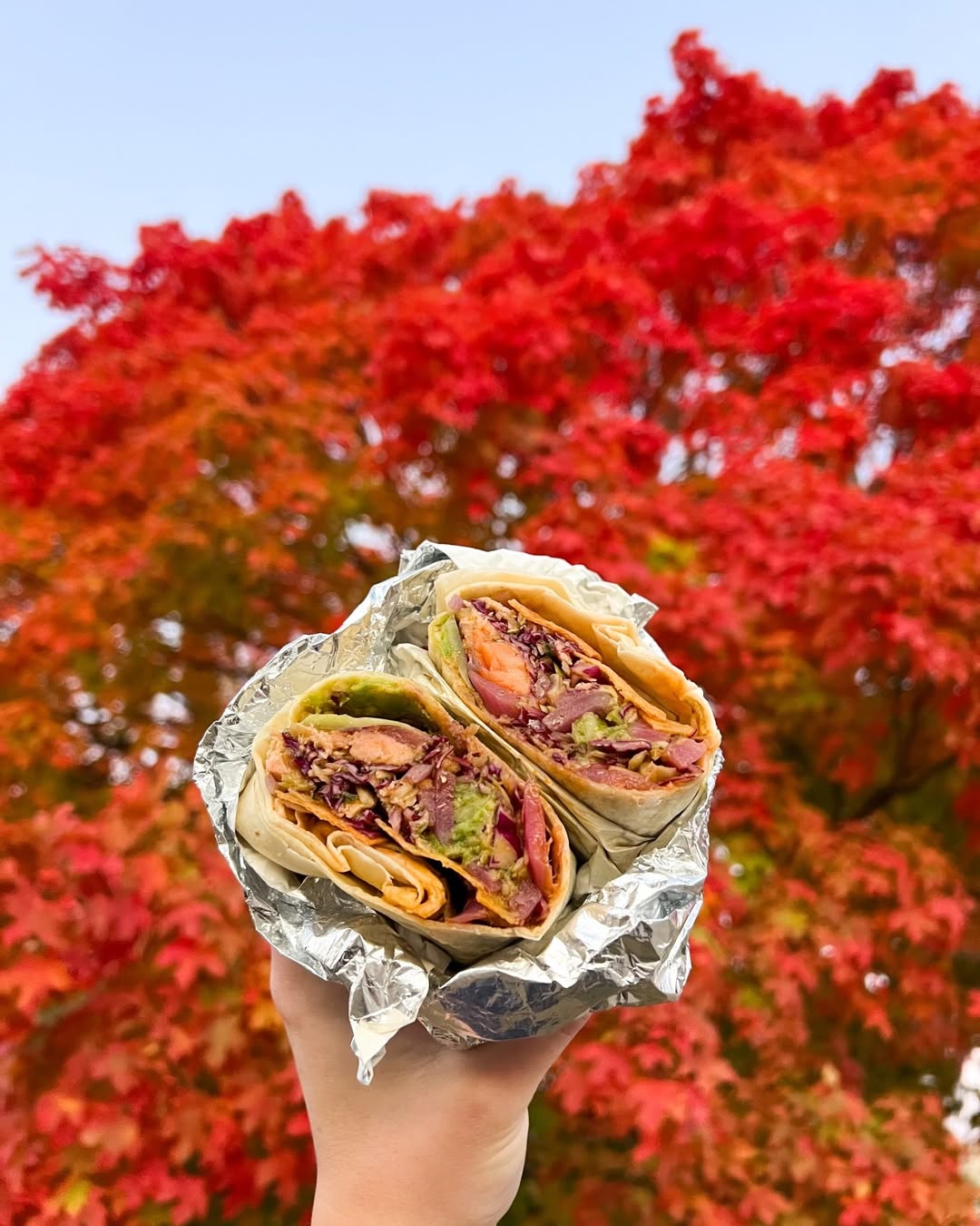 A hand holding a foil-wrapped Forage Kitchen wrap in front of a tree with bright orange autumn leaves.