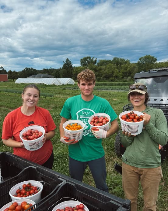 Flynn Creek Farm staff holding freshly harvested tomatoes prepared for use in Forage Kitchen meals.