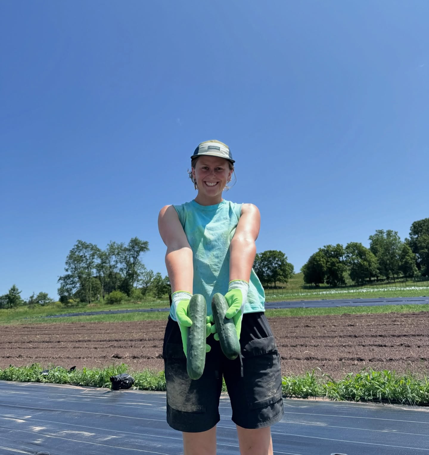 Flynn Creek Farm partner holds freshly harvested cucumbers grown for salads at Forage Kitchen in Wisconsin.