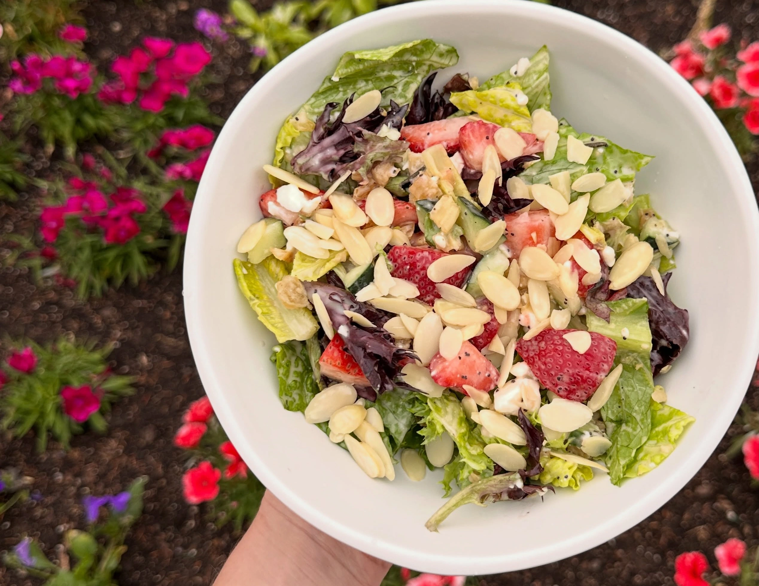  A hand holds Forage Kitchen Berry Good Summer salad featuring fresh strawberries, greens, and almonds.