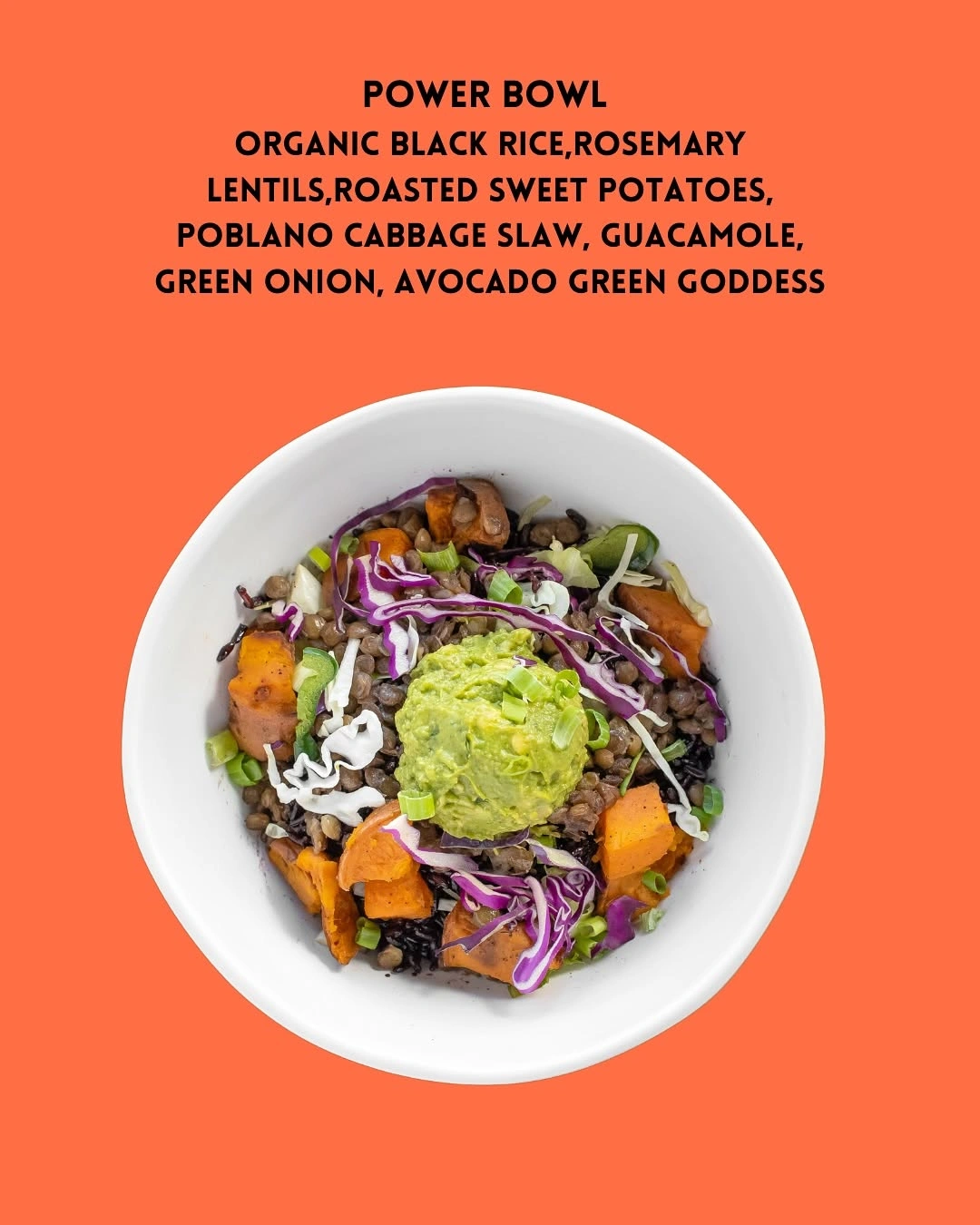 Forage Kitchen Power Bowl with organic black rice, lentils, sweet potatoes, cabbage slaw, and avocado green goddess.