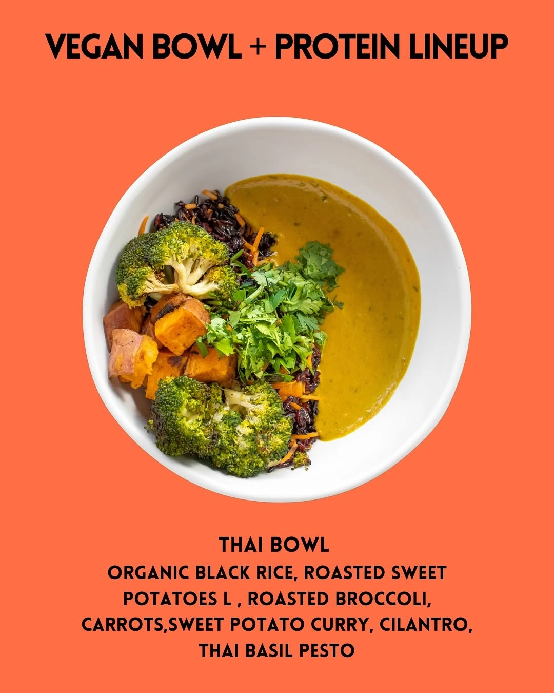 Forage Kitchen Thai Bowl with organic black rice, roasted veggies, basil pesto, and curry sauce on an orange background.