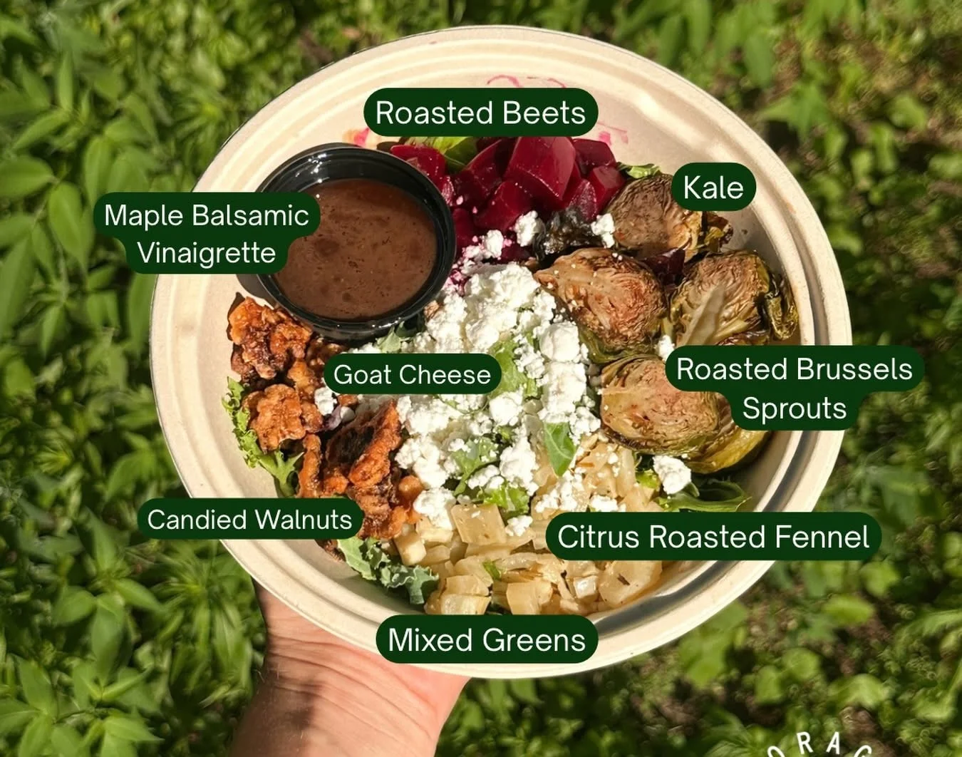 Forage Kitchen’s Local Roots Salad bowl with labeled ingredients including roasted beets, goat cheese, and kale.