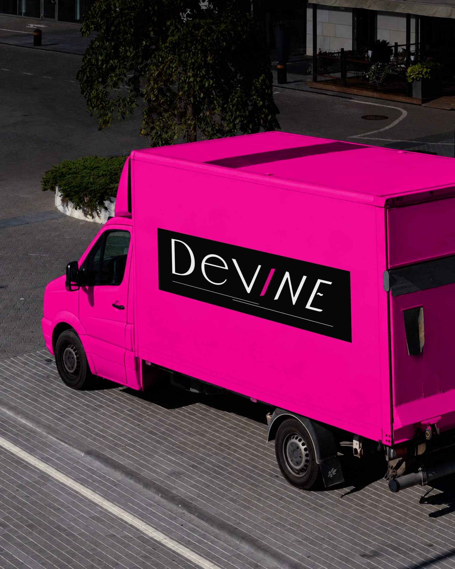 DeVine Reps