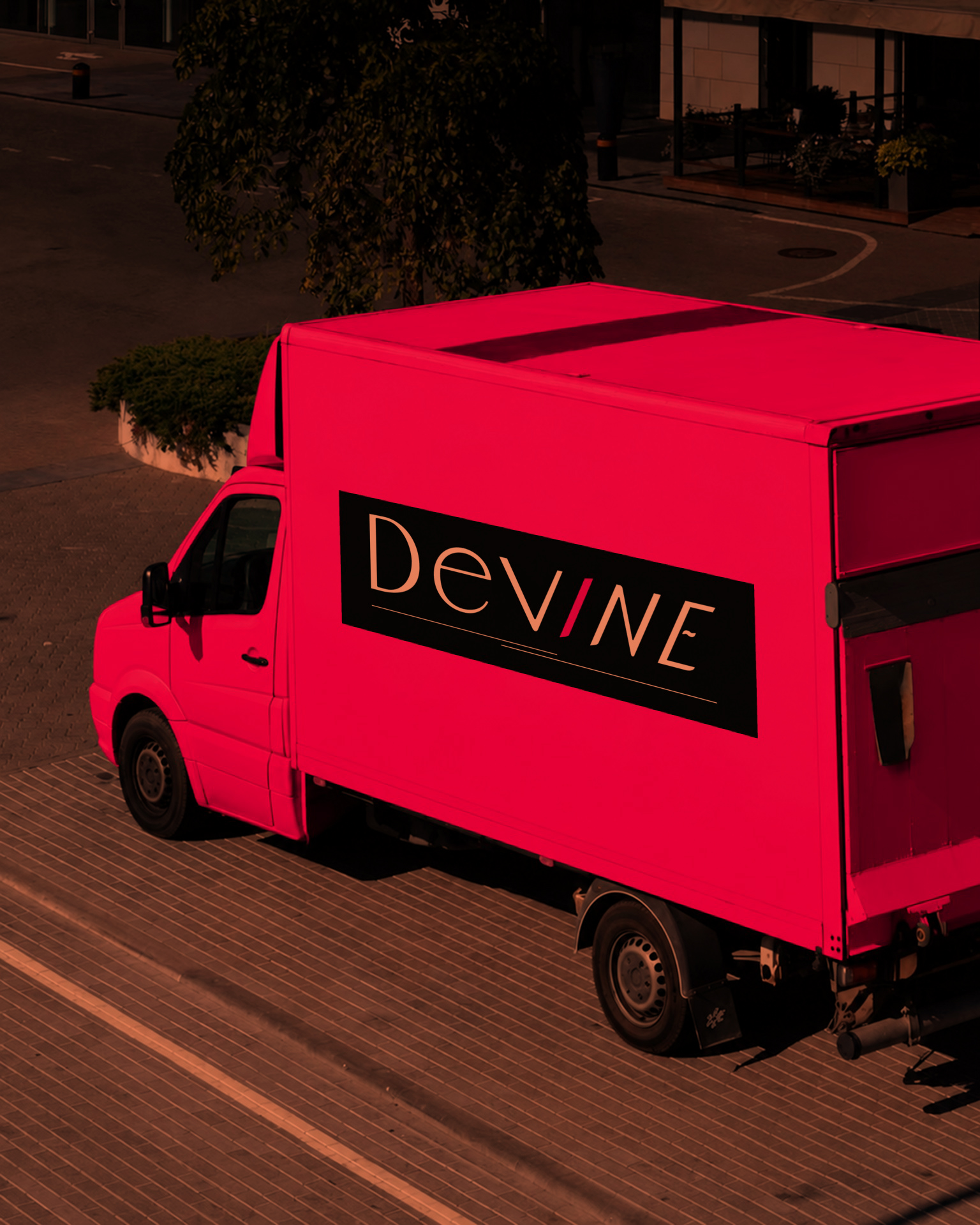 DeVine Reps