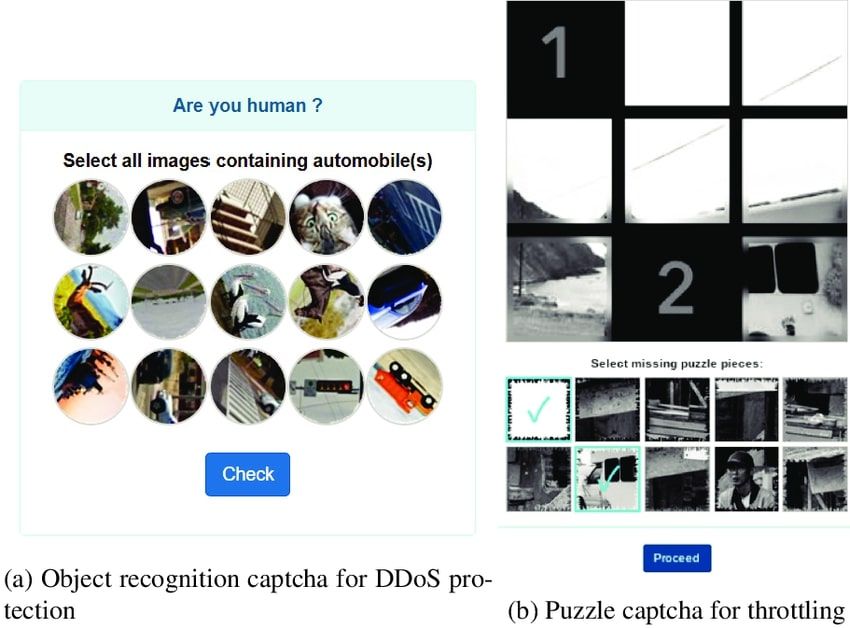 Different types of CAPTCHA challenges including text, image, puzzle and logic-based