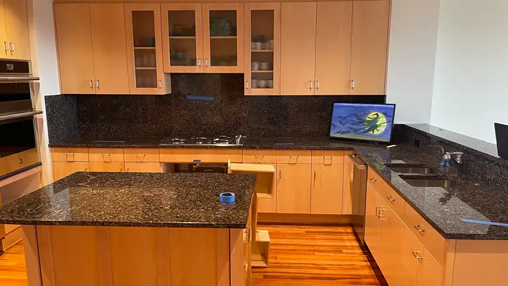 Custom Condo Remodel in Downtown Kirkland Before