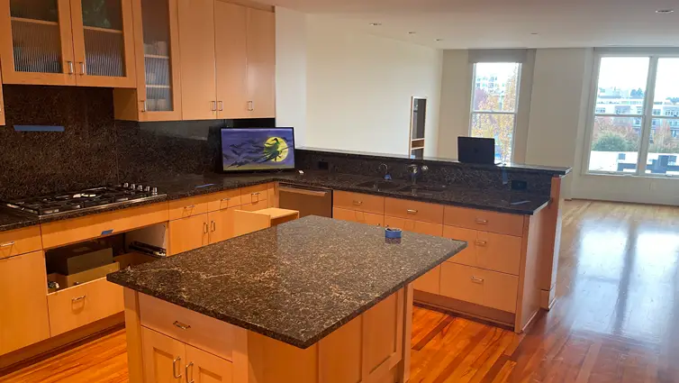 Custom Condo Remodel in Downtown Kirkland Before