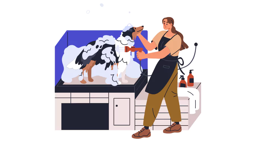  Online Courses Australia Get Course