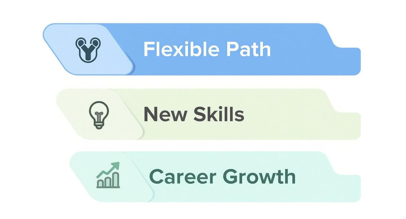 Infographic about online courses australia